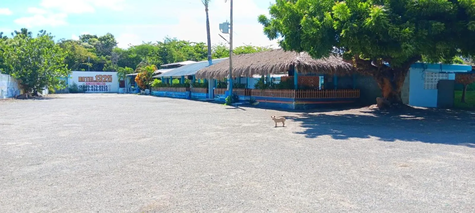 Hotel1325 Bani